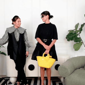 stylist advisor online